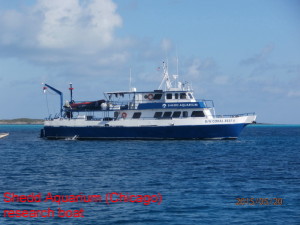 Exumas1-20150520-198
